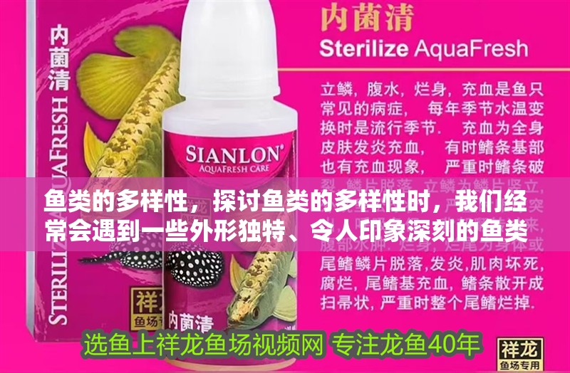 魚類的多樣性，探討魚類的多樣性時(shí)，我們經(jīng)常會(huì)遇到一些外形獨(dú)特、令人印象深刻的魚類