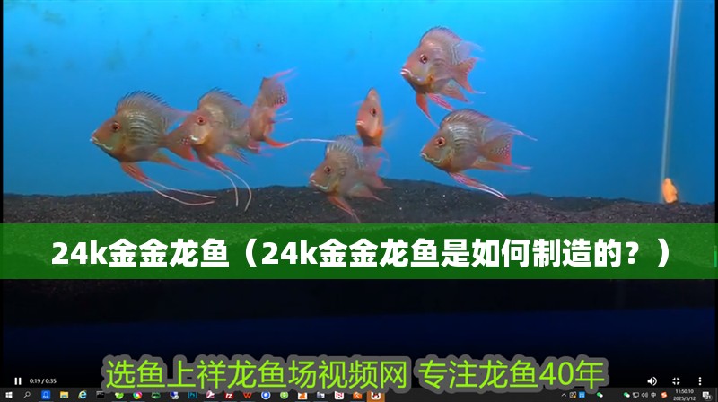 24k金金龍魚（24k金金龍魚是如何制造的？）