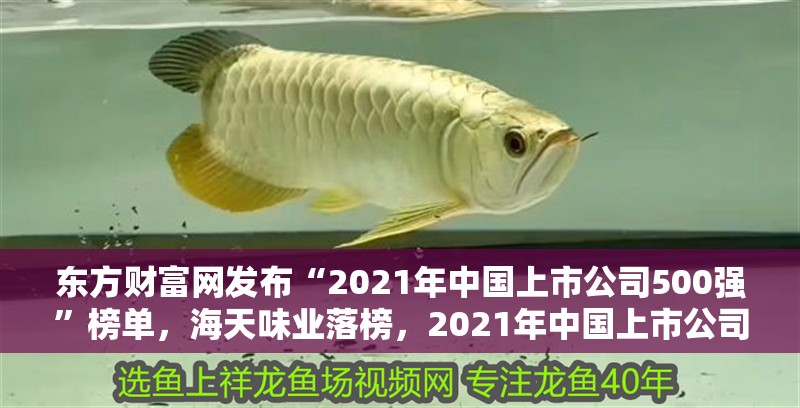 東方財富網發布“2021年中國上市公司500強”榜單，海天味業落榜，2021年中國上市公司500強：金龍魚、海天味業、安琪酵母上榜 東方財富網發布“2021年中國上市公司500強”榜單，海天味業落榜，2021年中國上市公司500強：金龍魚、海天味業、安琪酵母上榜 觀賞魚百科