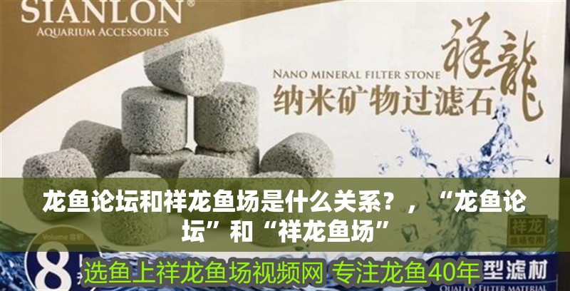 龍魚論壇和祥龍魚場(chǎng)是什么關(guān)系？，“龍魚論壇”和“祥龍魚場(chǎng)”
