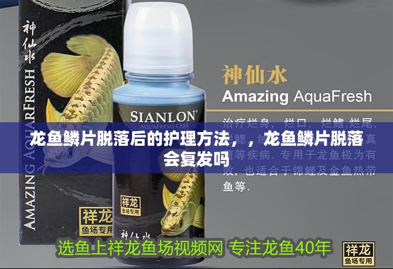 龍魚鱗片脫落后的護理方法，，龍魚鱗片脫落會復發嗎