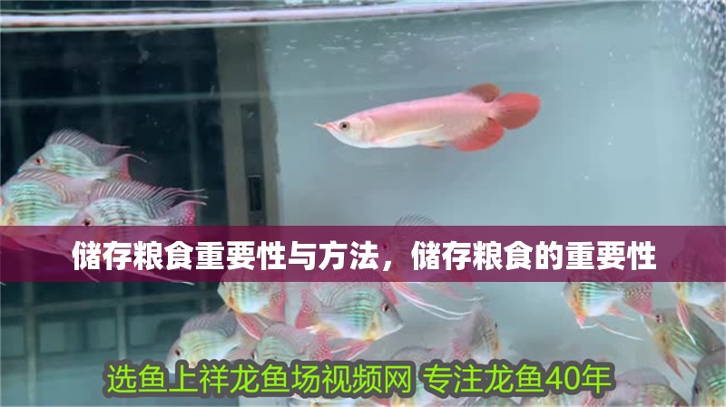 儲(chǔ)存糧食重要性與方法，儲(chǔ)存糧食的重要性