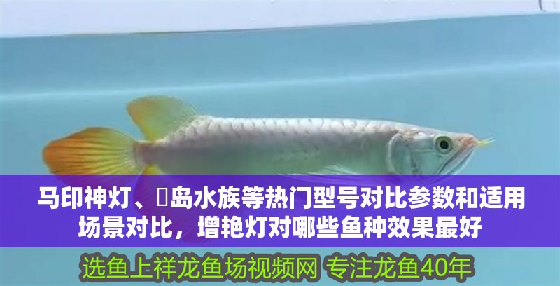 馬印神燈、寳島水族等熱門型號對比參數和適用場景對比，增艷燈對哪些魚種效果最好