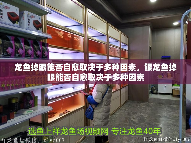 龍魚(yú)掉眼能否自愈取決于多種因素，銀龍魚(yú)掉眼能否自愈取決于多種因素
