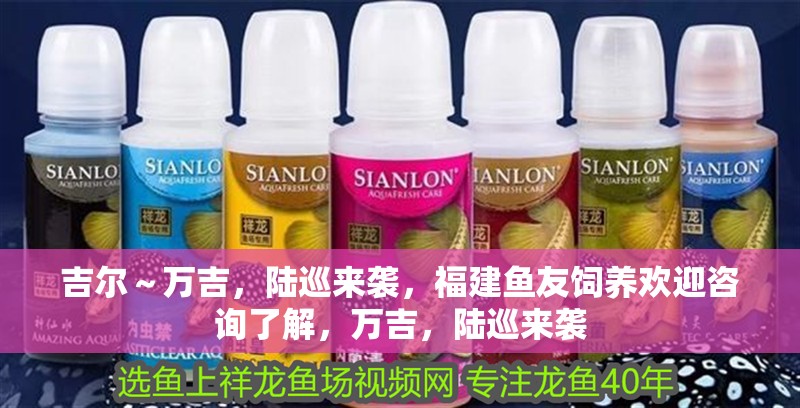 吉爾～萬吉，陸巡來襲，福建魚友飼養歡迎咨詢了解，萬吉，陸巡來襲