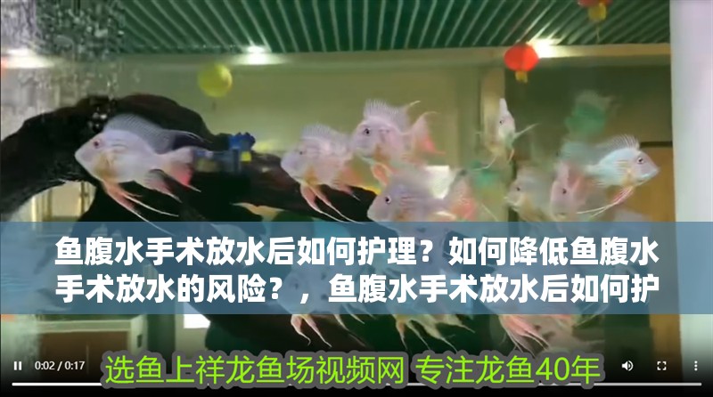 魚腹水手術(shù)放水后如何護理？如何降低魚腹水手術(shù)放水的風險？，魚腹水手術(shù)放水后如何護理魚腹水手術(shù)放水后如何護理