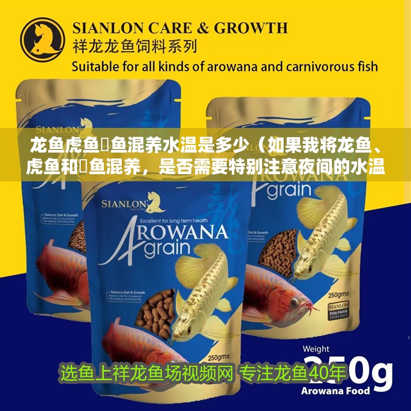 龍魚虎魚魟魚混養水溫是多少（如果我將龍魚、虎魚和魟魚混養，是否需要特別注意夜間的水溫變化） 龍魚虎魚魟魚混養水溫是多少（如果我將龍魚、虎魚和魟魚混養，是否需要特別注意夜間的水溫變化） 觀賞魚百科