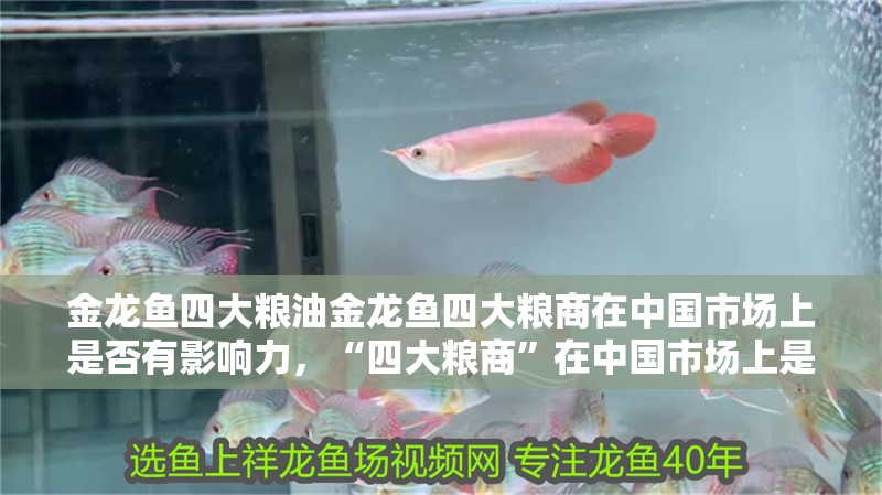 金龍魚四大糧油金龍魚四大糧商在中國市場上是否有影響力，“四大糧商”在中國市場上是否有影響力