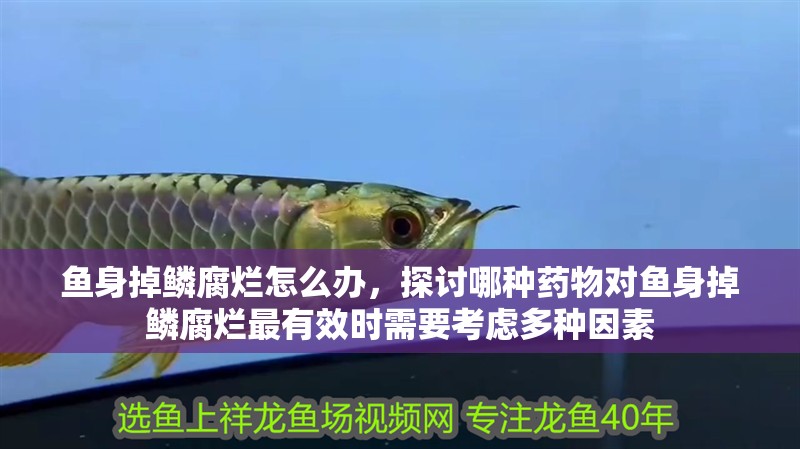 魚身掉鱗腐爛怎么辦，探討哪種藥物對(duì)魚身掉鱗腐爛最有效時(shí)需要考慮多種因素