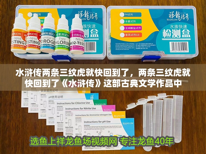 水滸傳兩條三紋虎就快回到了，兩條三紋虎就快回到了《水滸傳》這部古典文學作品中
