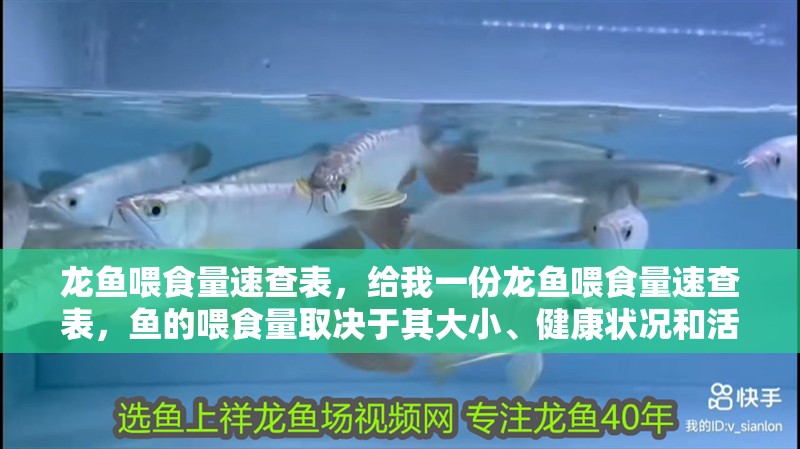 龍魚喂食量速查表，給我一份龍魚喂食量速查表，魚的喂食量取決于其大小、健康狀況和活動水平和活動水平 龍魚喂食量速查表，給我一份龍魚喂食量速查表，魚的喂食量取決于其大小、健康狀況和活動水平和活動水平 龍魚百科 第3張
