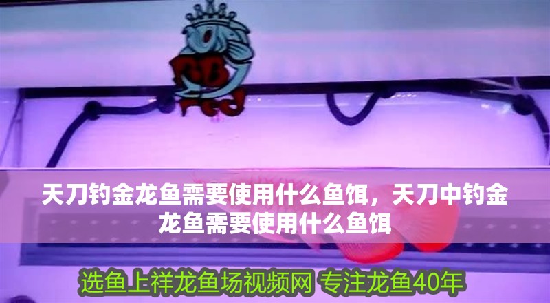 天刀釣金龍魚(yú)需要使用什么魚(yú)餌，天刀中釣金龍魚(yú)需要使用什么魚(yú)餌 天刀釣金龍魚(yú)需要使用什么魚(yú)餌，天刀中釣金龍魚(yú)需要使用什么魚(yú)餌 觀賞魚(yú)百科