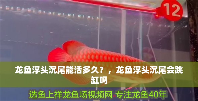 龍魚(yú)浮頭沉尾能活多久？，龍魚(yú)浮頭沉尾會(huì)跳缸嗎