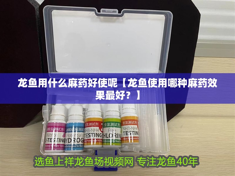 我的虎魚真菌感染了要怎么處理 龍魚用什么麻藥好使呢【龍魚使用哪種麻藥效果最好?】 觀賞魚百科 龍魚用什么麻藥好使呢【龍魚使用哪種麻藥效果最好?】 龍魚用什么麻藥好使呢【龍魚使用哪種麻藥效果最好?】 觀賞魚百科