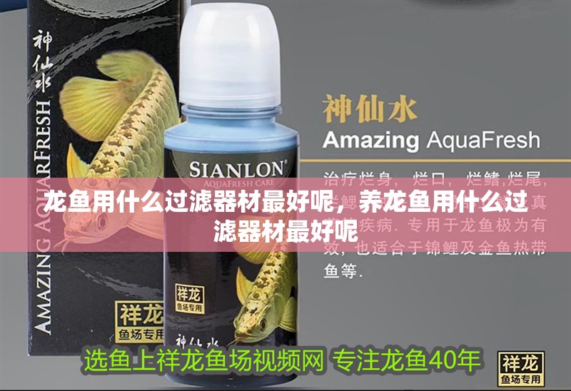 龍魚用什么過濾器材最好呢，養龍魚用什么過濾器材最好呢