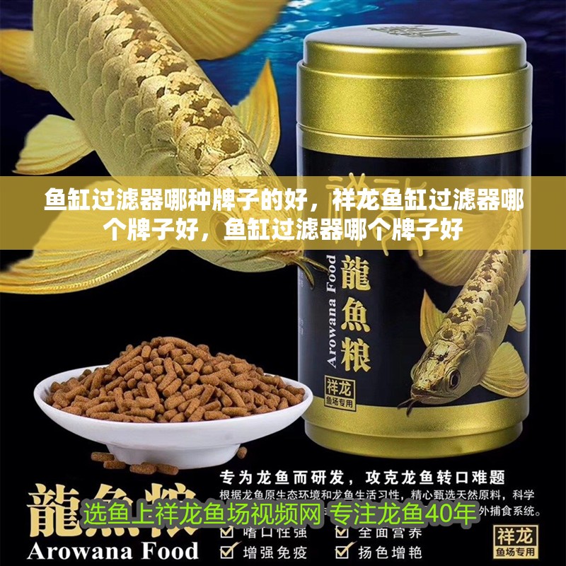 魚(yú)缸過(guò)濾器哪種牌子的好，祥龍魚(yú)缸過(guò)濾器哪個(gè)牌子好，魚(yú)缸過(guò)濾器哪個(gè)牌子好