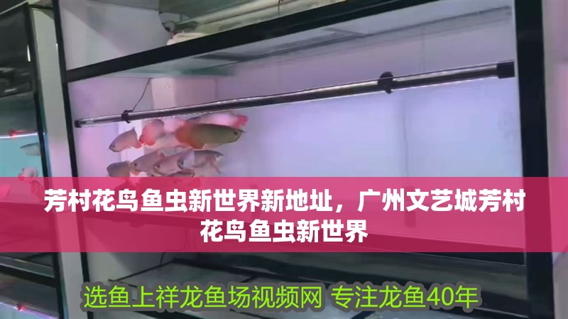 芳村花鳥魚蟲新世界新地址，廣州文藝城芳村花鳥魚蟲新世界