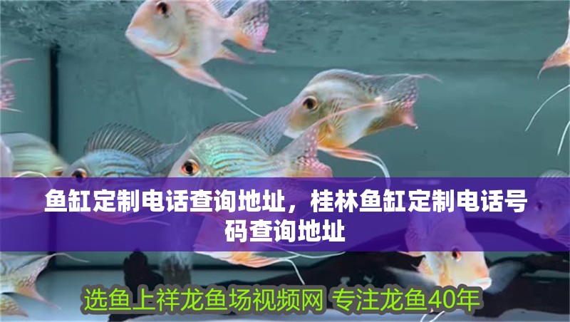 魚缸定制電話查詢地址，桂林魚缸定制電話號碼查詢地址