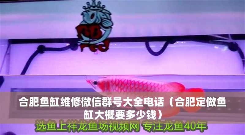 合肥魚缸維修微信群號(hào)大全電話（合肥定做魚缸大概要多少錢）