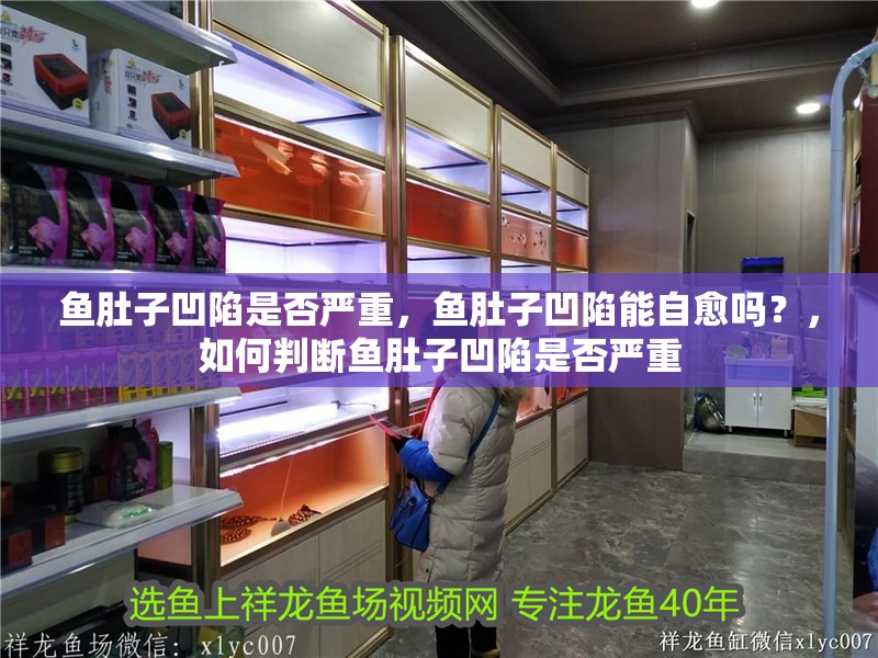 魚肚子凹陷是否嚴重，魚肚子凹陷能自愈嗎？，如何判斷魚肚子凹陷是否嚴重