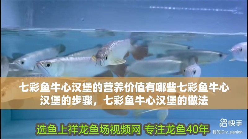 七彩魚牛心漢堡的營養(yǎng)價(jià)值有哪些七彩魚牛心漢堡的步驟，七彩魚牛心漢堡的做法