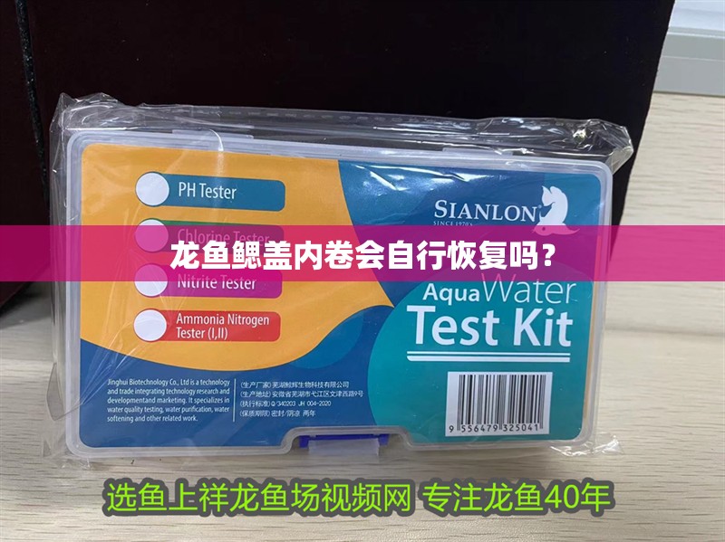 龍魚鰓蓋內(nèi)卷會(huì)自行恢復(fù)嗎？