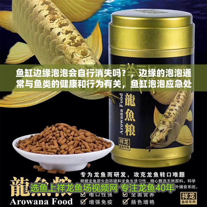 魚缸邊緣泡泡會自行消失嗎？，邊緣的泡泡通常與魚類的健康和行為有關，魚缸泡泡應急處理清單