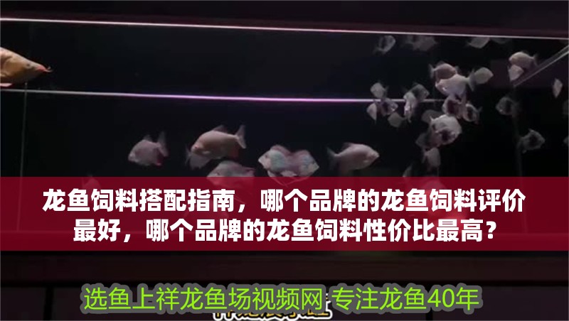 龍魚飼料搭配指南，哪個(gè)品牌的龍魚飼料評(píng)價(jià)最好，哪個(gè)品牌的龍魚飼料性價(jià)比最高？