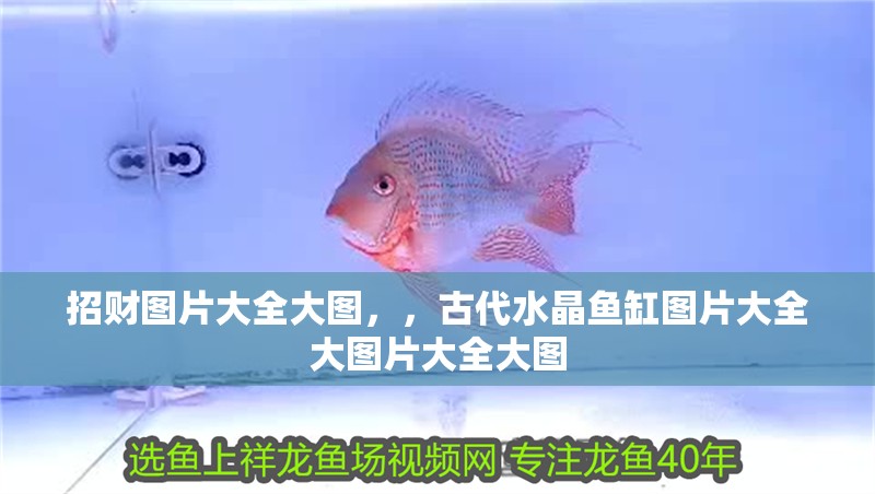 招財(cái)圖片大全大圖，，古代水晶魚缸圖片大全大圖片大全大圖