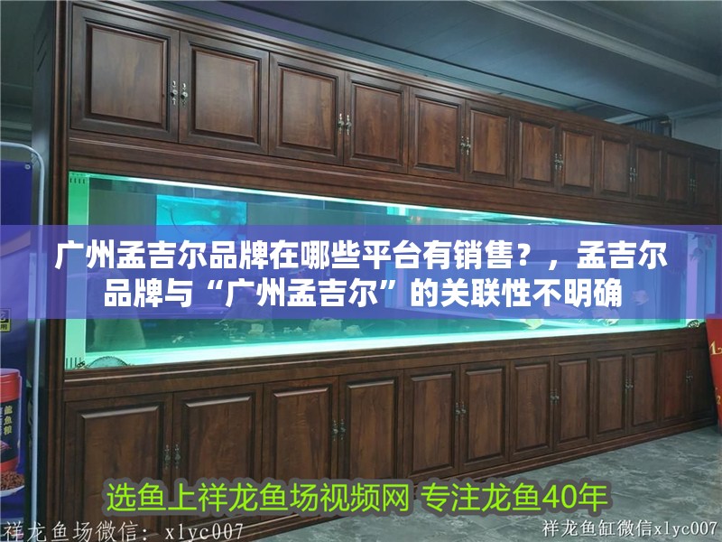 廣州孟吉爾品牌在哪些平臺(tái)有銷(xiāo)售？，孟吉爾品牌與“廣州孟吉爾”的關(guān)聯(lián)性不明確
