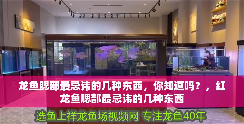 龍魚腮部最忌諱的幾種東西，你知道嗎？，紅龍魚腮部最忌諱的幾種東西