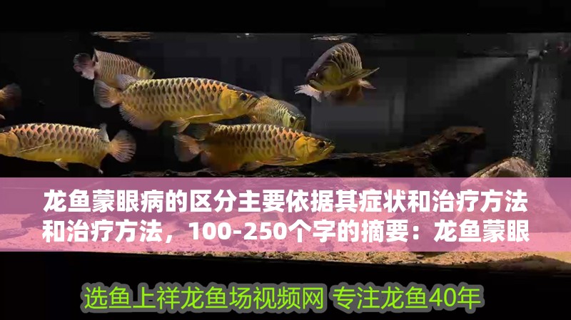 龍魚蒙眼病的區分主要依據其癥狀和治療方法和治療方法，100-250個字的摘要：龍魚蒙眼病的區分主要依據其癥狀和治療方法