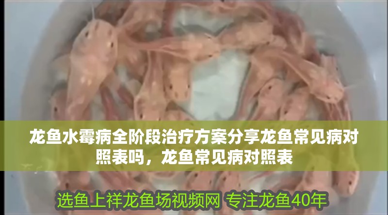 龍魚水霉病全階段治療方案分享龍魚常見病對(duì)照表嗎，龍魚常見病對(duì)照表