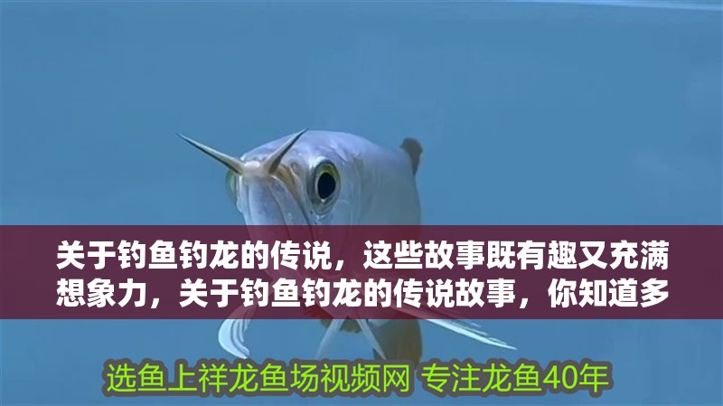 關于釣魚釣龍的傳說，這些故事既有趣又充滿想象力，關于釣魚釣龍的傳說故事，你知道多少？