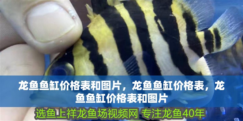 龍魚魚缸價格表和圖片，龍魚魚缸價格表，龍魚魚缸價格表和圖片