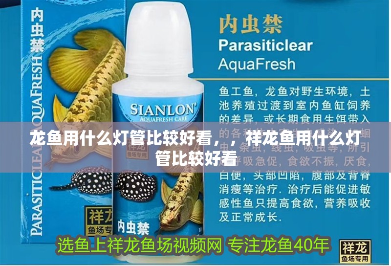 龍魚用什么燈管比較好看，，祥龍魚用什么燈管比較好看