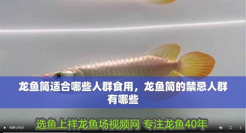 龍魚簡(jiǎn)適合哪些人群食用，龍魚簡(jiǎn)的禁忌人群有哪些