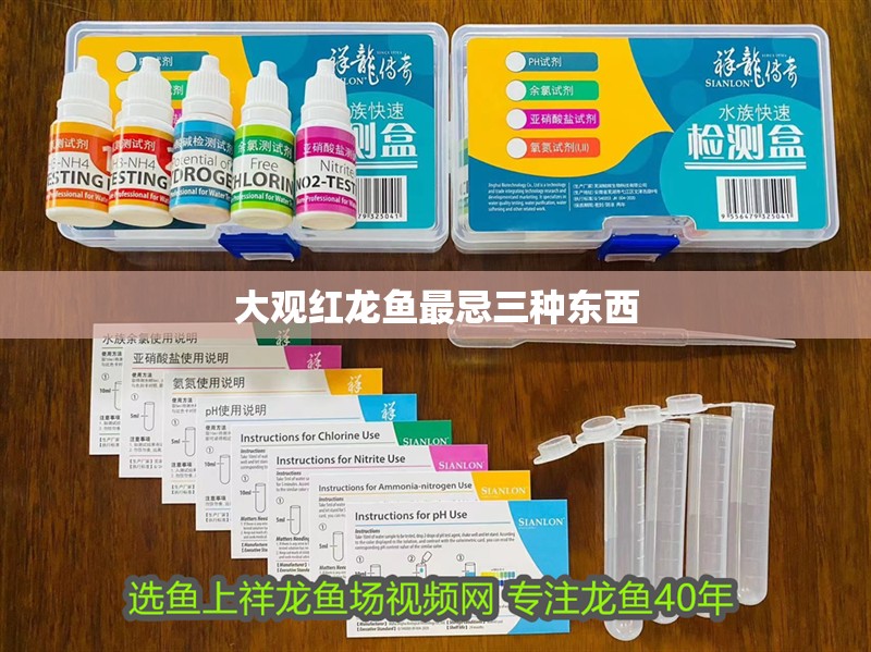 大觀紅龍魚最忌三種東西 觀賞魚百科 第12張 大觀紅龍魚最忌三種東西 大觀紅龍魚最忌三種東西 觀賞魚百科 第12張