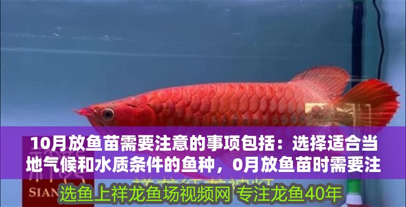 10月放魚苗需要注意的事項包括：選擇適合當地氣候和水質條件的魚種，0月放魚苗時需要注意的事項包括：選擇適合當地氣候和水質條件的魚種
