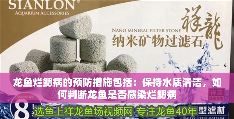 龍魚爛鰓病的預防措施包括：保持水質清潔，如何判斷龍魚是否感染爛鰓病 龍魚爛鰓病的預防措施包括：保持水質清潔，如何判斷龍魚是否感染爛鰓病 龍魚百科