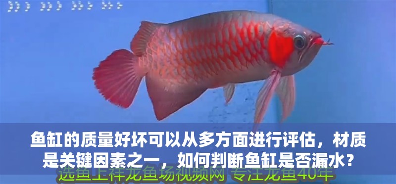 魚缸的質量好壞可以從多方面進行評估，材質是關鍵因素之一，如何判斷魚缸是否漏水？