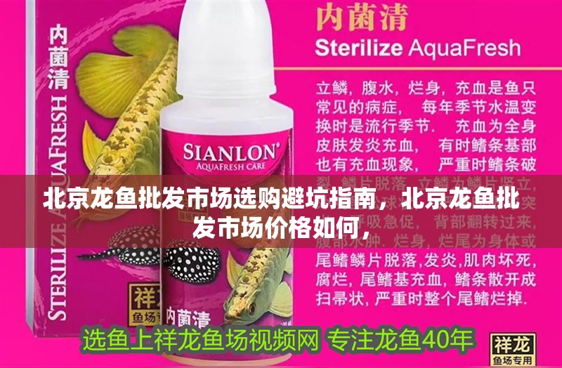 北京龍魚批發市場選購避坑指南，北京龍魚批發市場價格如何，