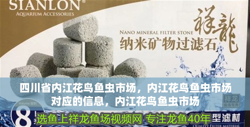 四川省內江花鳥魚蟲市場，內江花鳥魚蟲市場對應的信息，內江花鳥魚蟲市場