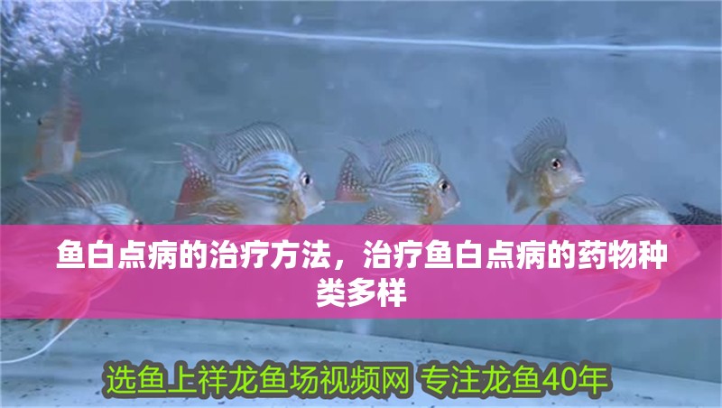 魚白點病的治療方法，治療魚白點病的藥物種類多樣