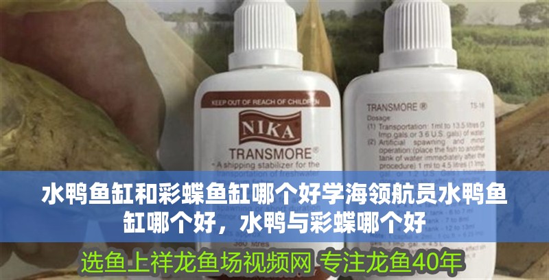 水鴨魚缸和彩蝶魚缸哪個好學海領航員水鴨魚缸哪個好，水鴨與彩蝶哪個好
