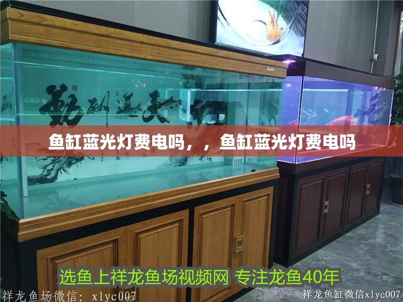 魚缸藍光燈費電嗎，，魚缸藍光燈費電嗎