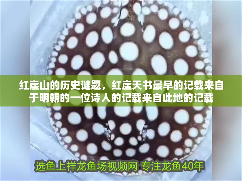 紅崖山的歷史謎題,紅崖天書(shū)最早的記載來(lái)自于明朝的一位詩(shī)人的記載來(lái)自此地的記載 觀賞魚(yú)百科 第4張 紅崖山的歷史謎題,紅崖天書(shū)最早的記載來(lái)自于明朝的一位詩(shī)人的記載來(lái)自此地的記載 紅崖山的歷史謎題,紅崖天書(shū)最早的記載來(lái)自于明朝的一位詩(shī)人的記載來(lái)自此地的記載 觀賞魚(yú)百科 第4張