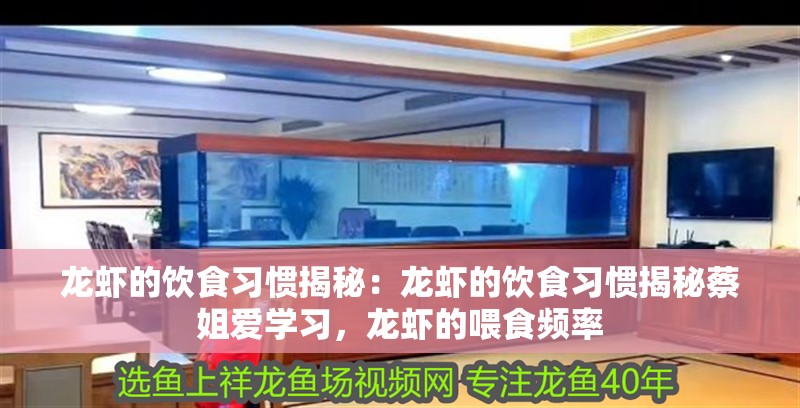 龍蝦的飲食習慣揭秘：龍蝦的飲食習慣揭秘蔡姐愛學習，龍蝦的喂食頻率