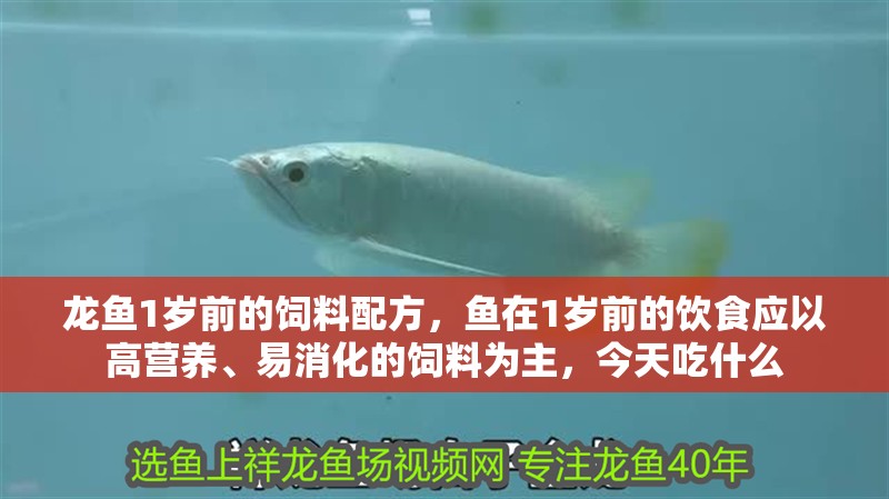 龍魚1歲前的飼料配方，魚在1歲前的飲食應以高營養、易消化的飼料為主，今天吃什么