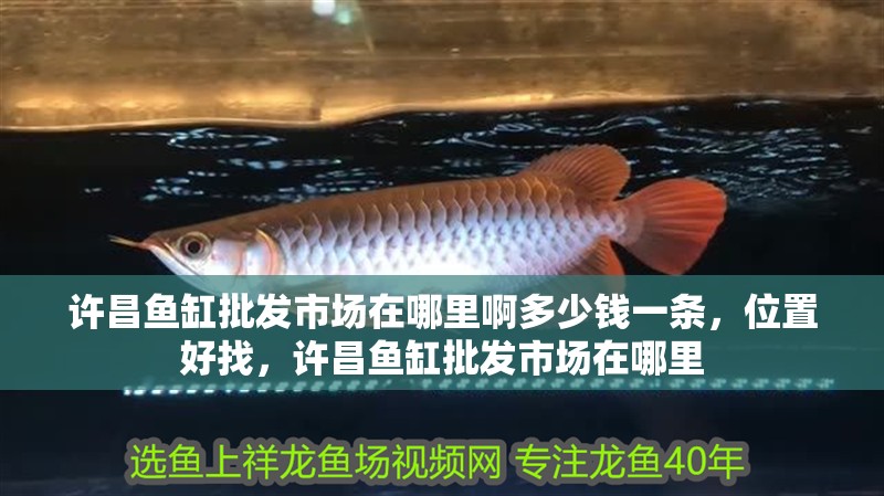 許昌魚缸批發市場在哪里啊多少錢一條，位置好找，許昌魚缸批發市場在哪里